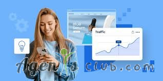 How Can I Make My Website Traffic Snowball?