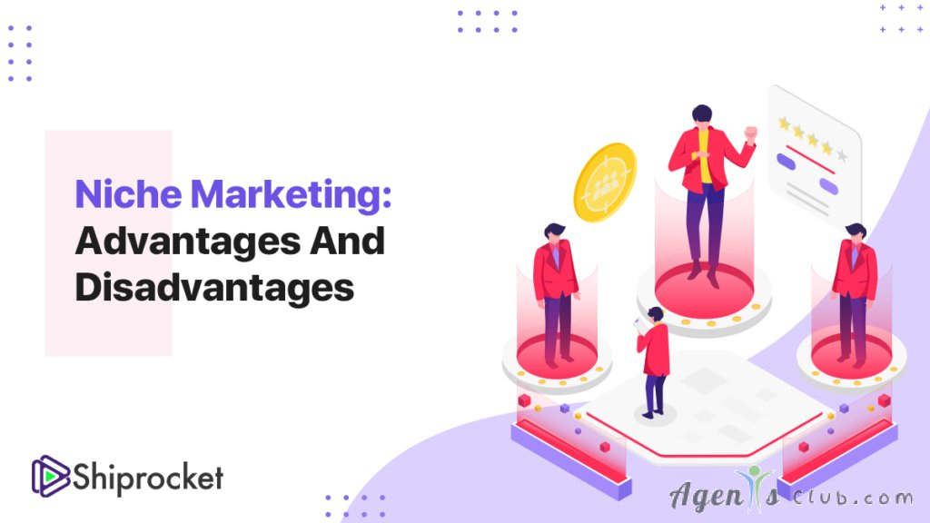 Is Niche Targeting the Key to Better Traffic?