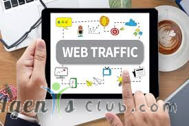 Where do successful websites get their traffic?