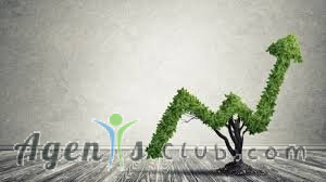 How can I grow my site without relying on Google?
