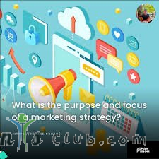 Where should I focus my marketing efforts first?