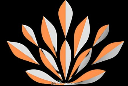 PURELife305 Cleaning