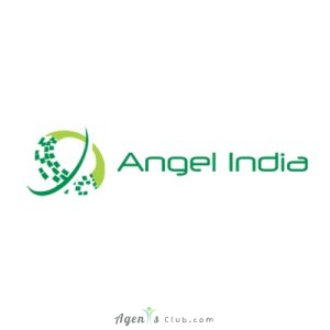 Angel India Cad Cam Pvt. Ltd.