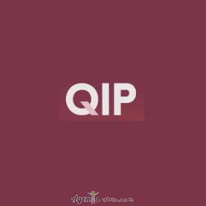 Q Investment Partners