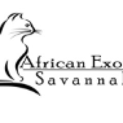 African Savannah