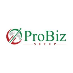 ProBiz Setup